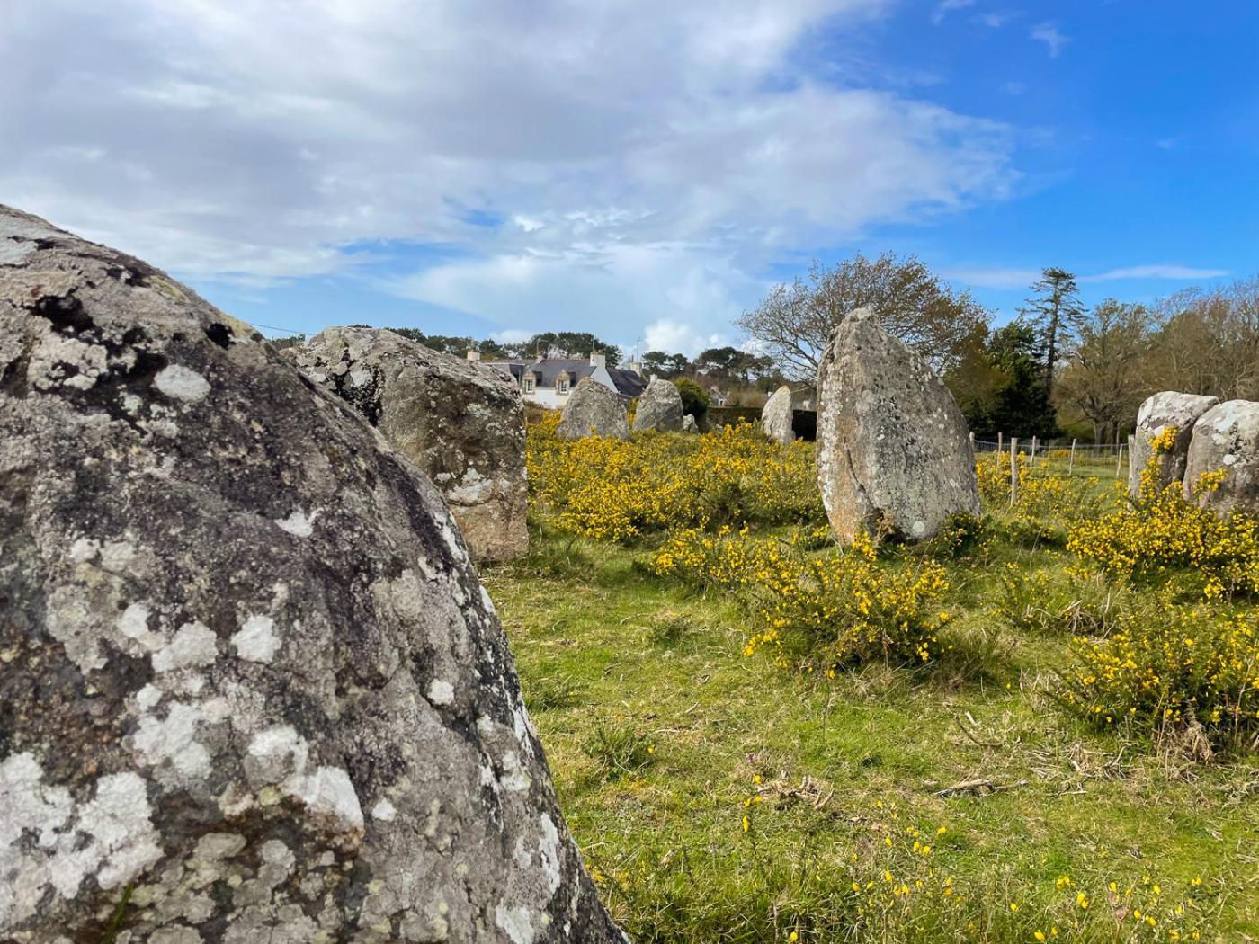 Maison Vue Sur Les Alignements De - Les Glycines Holiday home Carnac